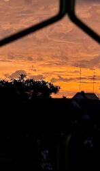 Tai Keng Garden (D19), Detached #459155651